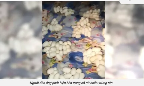 Vừa mở cửa nhà sau 6 tháng, người đàn ông sợ hãi lùi lại: Cảnh tượng bên trong khiến nhiều người nổi da gà