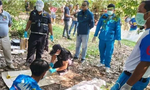 Đi hái nấm trong rừng, người mẹ chết lặng khi phát hiện thi thể con gái mất tích