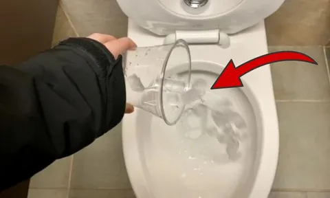 Đổ đá lạnh vào bồn cầu: Mẹo hay mang lại lợi ích bất ngờ ít người biết