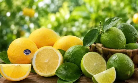 Chanh xanh hay chanh vàng tốt hơn cho sức khỏe? Sự khác biệt ít người biết