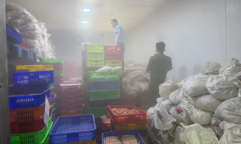 Đột kích cơ sở sơ chế chân gà ở Đồng Nai, lực lượng chức năng phát hiện sự thật kinh hoàng