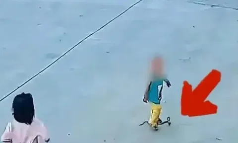 Rắn hổ xòe mang sau khi bị hai đứa trẻ giẫm trúng liên tiếp, đoạn camera 10 giây khiến hàng triệu người xem lạnh gáy