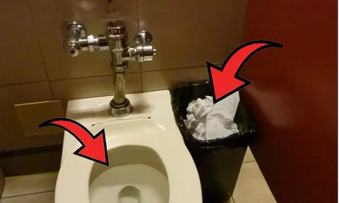 Nên vứt giấy vệ sinh vào bồn cầu hay thùng rác mới đúng?