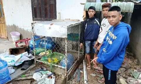 Điều tra vụ án liên quan đến Nguyễn Phi Hùng
