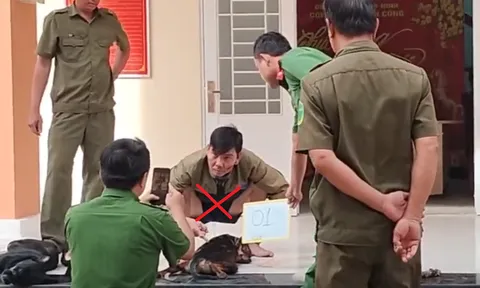 Cú va chạm giao thông làm lộ bí mật trong bao tải của hai người đàn ông