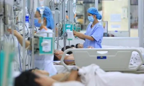 Từ 5/7/2026: Bác sĩ, dược sĩ chuyên khoa II có thể được hỗ trợ 350 triệu đồng khi được tuyển dụng tiếp nhận làm việc theo Nghị quyết 12