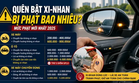 Năm 2026, quên bật xi nhan bị phạt bao nhiêu tiền?