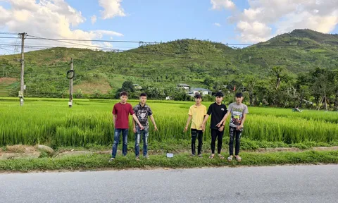 Truy đuổi giữa quốc lộ khiến hai người lao xuống mương, 5 thanh thiếu niên bị khởi tố