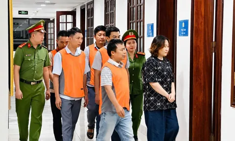 Thi hành lệnh tạm giam giám đốc Lê Thị Hồng cùng 4 thuộc cấp