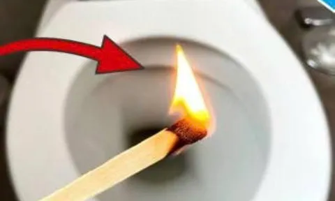 Người khôn ngoan thường thả một quen diêm xuống bồn cầu: Chúng có tác dụng gì?