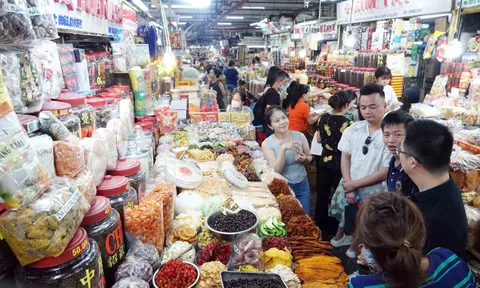 Chính thức HKD, CNKD không phải thông báo doanh thu năm từ 1 tỷ đồng trở xuống từ 1/7/2026 tại mẫu 01/TKN-CNKD kèm theo Thông tư 50/2026/TT-BTC, đúng không?