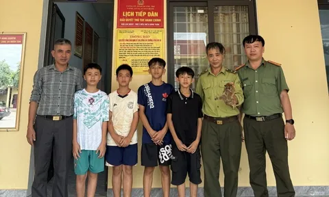 Thấy sinh vật lạ nằm trên cây khế, 4 em nhỏ có quyết định khiến người lớn cũng phải khen