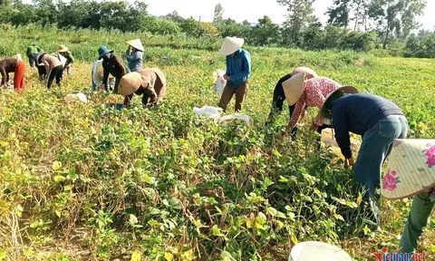 Bố mẹ gác mọi việc đi tìm con mất tích nhiều ngày, cả xóm lặng lẽ làm một việc ấm lòng