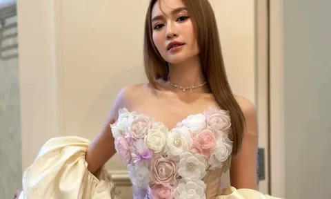 Ninh Dương Lan Ngọc lên tiếng khẩn liên quan những hình ảnh lan truyền trên mạng xã hội