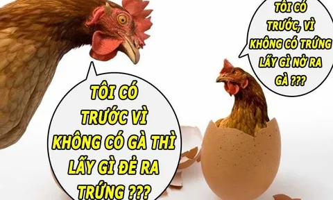 Con gà hay quả trứng có trước? 90% đều không biết câu trả lời đúng