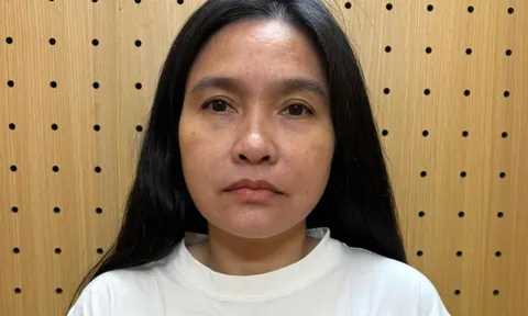 Đang hoãn thi hành án 10 năm, người phụ nữ ở Hà Tĩnh tiếp tục bị bắt vì lừa đảo 683,5 triệu đồng