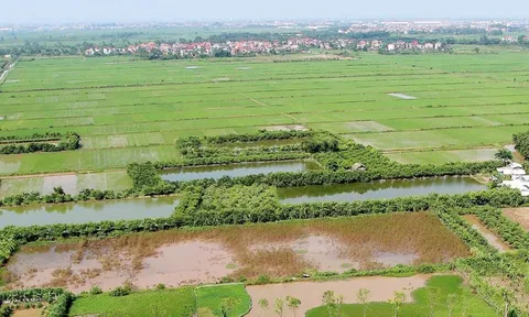 9 trường hợp thu hồi đất có thể không được bồi thường: Người dân cần lưu ý