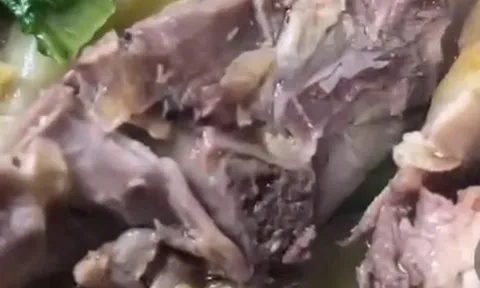 Tin mới nhất vụ dòi bò lúc nhúc trong nồi thịt gà tại tiệc tân gia
