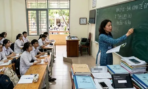Chính thức: Hiệu trưởng, Hiệu phó hưởng chính sách tại NĐ178 (đã sửa đổi) về tinh giản biên chế tại Công văn 3155 quy định thế nào?