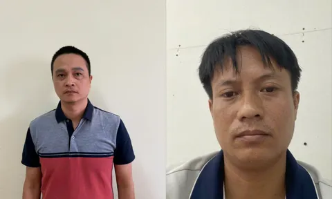 Khởi tố Giám đốc Công ty JOYO Việt Nam