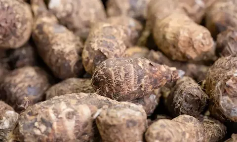 Gọt khoai sọ thường xuyên bị ngứa tay? Áp dụng ngay những mẹo đơn giản này để khắc phục