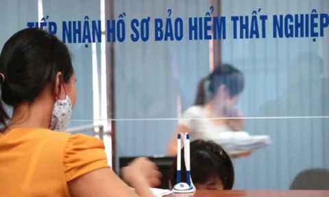 Bảo hiểm thất nghiệp 2026: Mức đóng mới nhất là bao nhiêu tiền?
