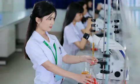 Kế hoạch 06 định hướng sáp nhập các trường đại học ra sao?