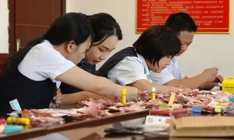 Cụ ông 80 tuổi xé nát hơn 1 tỷ đồng tiền tiết kiệm: Hơn 10 nhân viên ngân hàng phải làm việc này suốt 20 ngày để cứu vãn