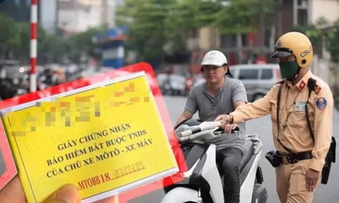 2 trường hợp bắt buộc phải mua bảo hiểm xe máy: Không có sẽ bị phạt bao nhiêu tiền?