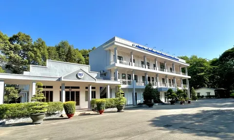 Công ty cổ phần Công trình Giao thông Đồng Nai bị phạt 185 triệu đồng