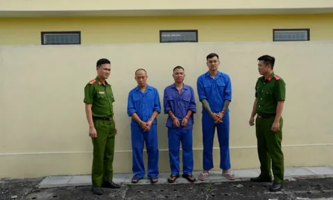 Bắt giữ Vua Quạt sau ồn ào từ thiện với Huấn Hoa Hồng