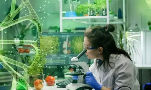 5 ngành học “đắt giá” không lo lỗi thời: Nhu cầu nhân lực lớn, lương từ 30-70 triệu đồng