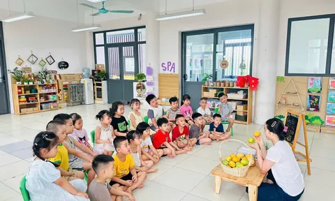 3 điều kiện để giáo viên mầm non đã nghỉ công tác được hưởng trợ cấp một lần theo Dự thảo chi tiết ra sao?