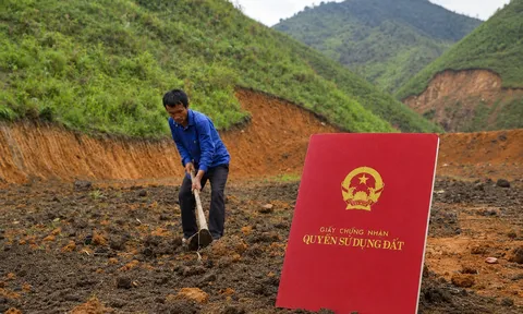 Đất khai hoang từ thời ông bà làm Sổ đỏ hết bao nhiêu tiền? 3 khoản phí cần biết