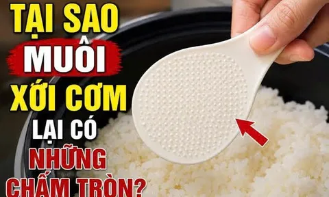Vì sao muôi xới cơm có những chấm tròn nổi? Nhiều người dùng lâu năm vẫn chưa biết chúng có tới 5 công dụng hữu ích