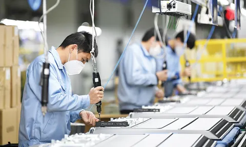 Doanh nghiệp ngừng hoạt động kinh doanh 01 năm mà không thông báo bị phạt bao nhiêu tiền theo Nghị định 288?