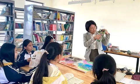 Kế toán, văn thư, thủ quỹ, thư viện trường học nhận phụ cấp ưu đãi nghề 20% đúng không theo Nghị định 182?