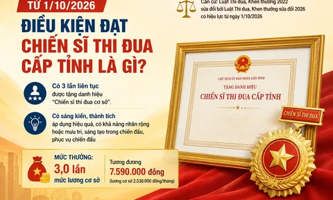 Điều kiện đạt Chiến sĩ thi đua cấp tỉnh từ 1/10/2026 là gì?