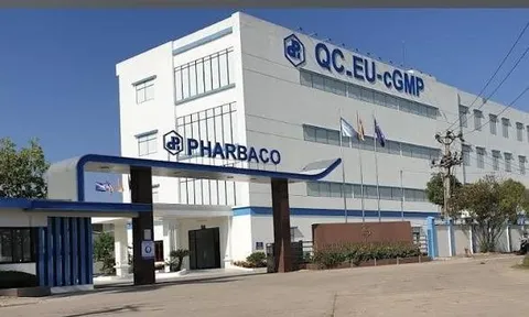 Tổng Giám đốc Pharbaco bị phạt hơn 523 triệu đồng, đình chỉ giao dịch chứng khoán 18 tháng