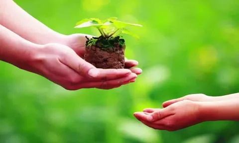 Tháng 7 âm lịch: Làm gì để sống an yên, tích phúc thay vì lo sợ?