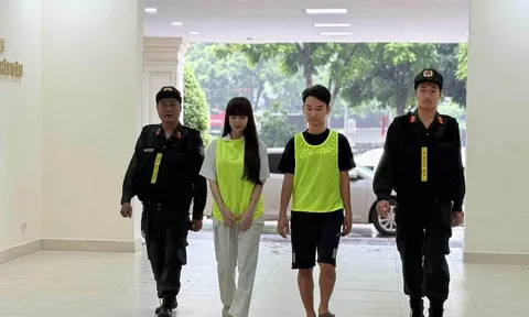 Khởi tố "cô giáo Hương" và chồng Vũ Hải Long