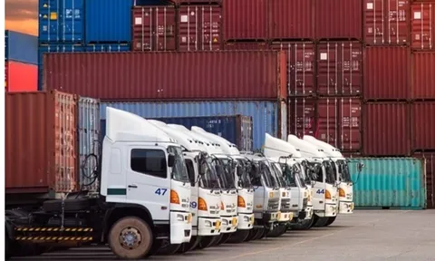 Lái xe chở hàng có cần đào tạo nghiệp vụ vận tải không? Đơn vị kinh doanh vận tải hành khách sử dụng xe ô tô có sức chứa từ 09 chỗ (kể cả người lái xe) trở lên phải đảm bảo các yêu cầu như thế nào?