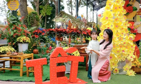 Lịch nghỉ Tết Nguyên đán Đinh Mùi 2027 của học sinh kéo dài 10 ngày theo Quyết định 2034 bắt đầu từ ngày nào?