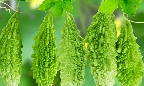 Bác sĩ khuyên người bị bệnh thận chớ dại ăn nhiều 5 loại rau này