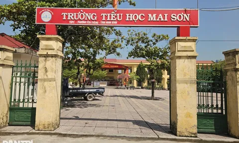 Thông tin mới vụ nữ hiệu trưởng đập bàn, ném cốc ở Ninh Bình: 2 nữ hiệu trưởng được phân công thế nào?