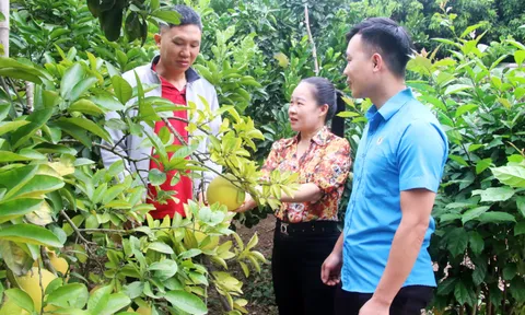 9 tiêu chuẩn cụ thể từ 05/9/2026 đối với Trưởng thôn, Tổ trưởng tổ dân phố chi tiết ra sao theo Quyết định 126?