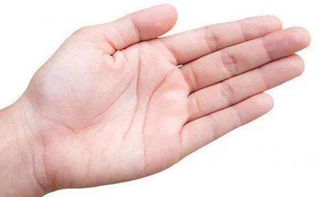Người xưa nói “5 ngón không kẽ hở, giàu sang khó thất thoát”: Vì sao?