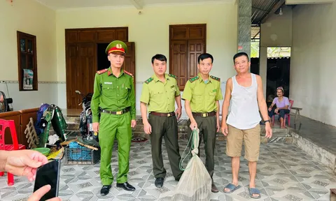 Rắn "khổng lồ" dài 3m, nặng hơn 4kg bất ngờ "có mặt" tại nhà người dân ở Nghệ An