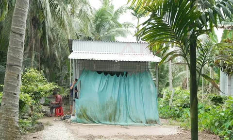 Nghi án chồng đâm vợ tử vong rồi trèo lên ngọn dừa lẩn trốn, ngã xuống trọng thương