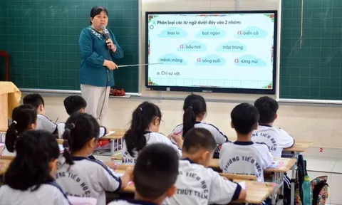 Nghị quyết 37 về chế độ Hiệu trưởng, Phó Hiệu trưởng khi sắp xếp trường học áp dụng đến khi nào? Hiệu lực thi hành Nghị quyết 37/2026/NQ-CP?